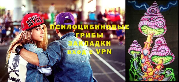 крисы Белоозёрский