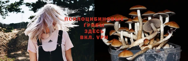 крисы Белоозёрский