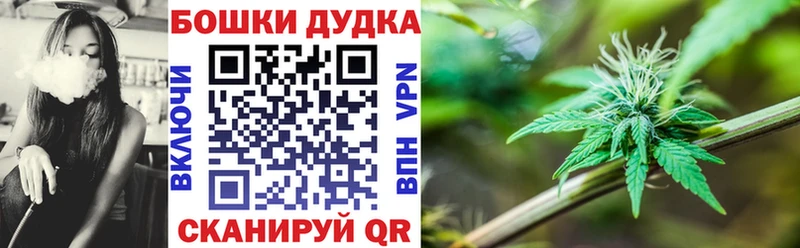 Бошки Шишки MAZAR  Куса 
